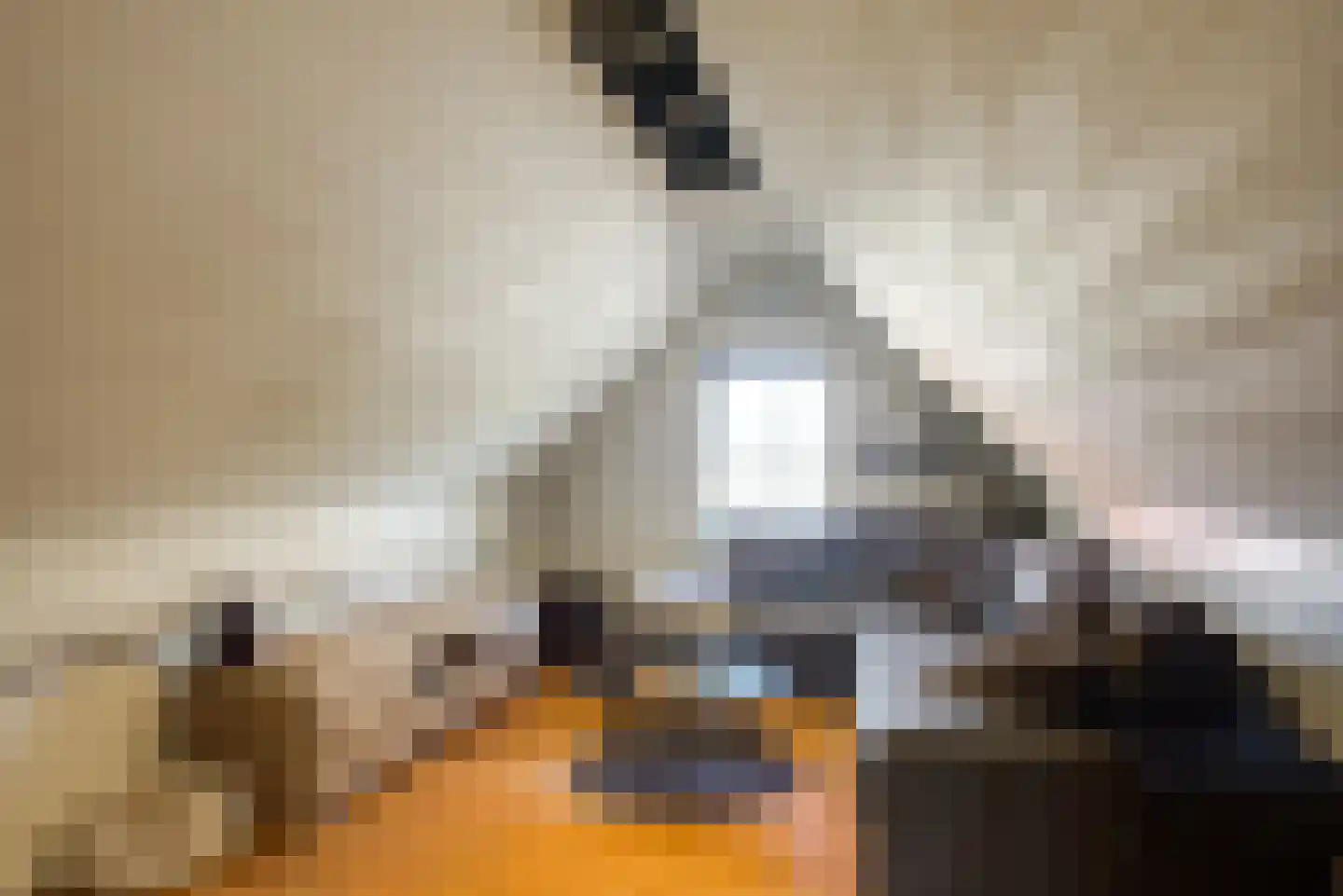 De Driesprong 24 Kwintsheul thumbnail 46