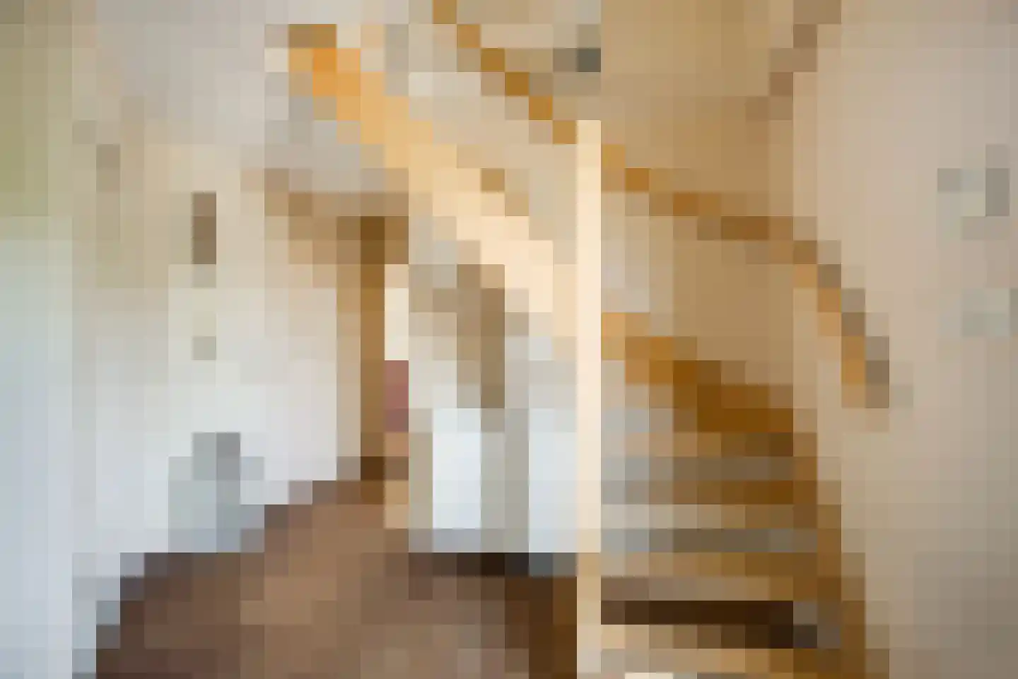 De Driesprong 24 Kwintsheul thumbnail 5