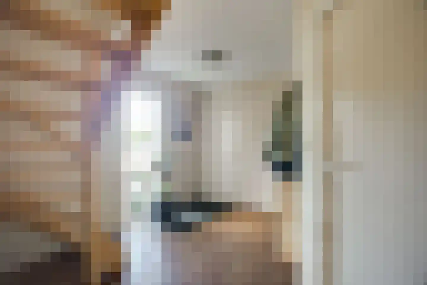 De Driesprong 24 Kwintsheul thumbnail 6
