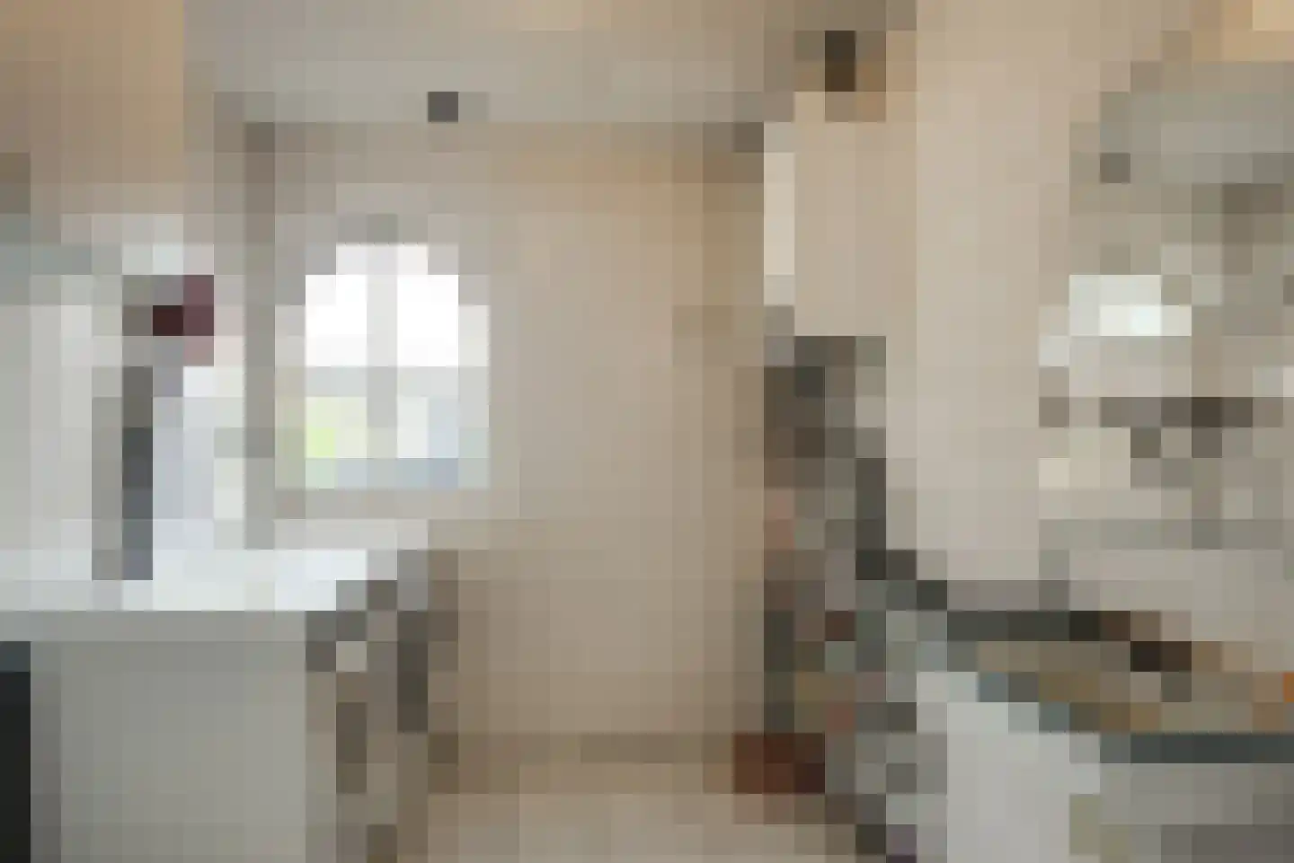 De Driesprong 24 Kwintsheul thumbnail 8