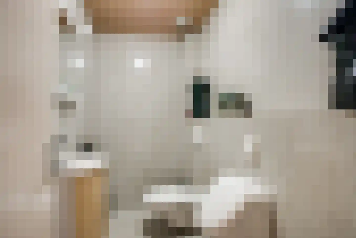 De Driesprong 24 Kwintsheul thumbnail 9