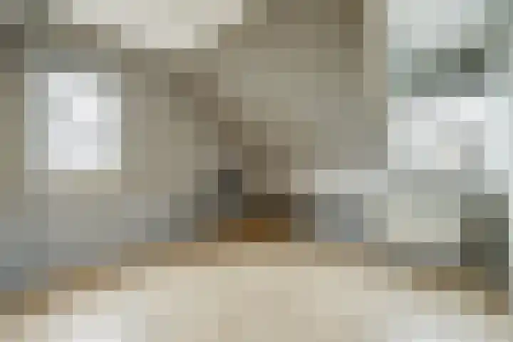 De Driesprong 3 Dronten thumbnail 13