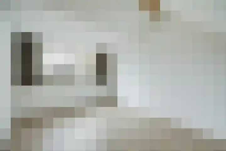 De Driesprong 3 Dronten thumbnail 22