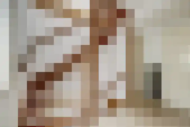 De Driesprong 3 Dronten thumbnail 24