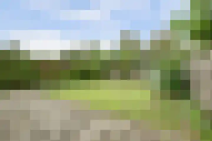 De Driesprong 3 Dronten thumbnail 30