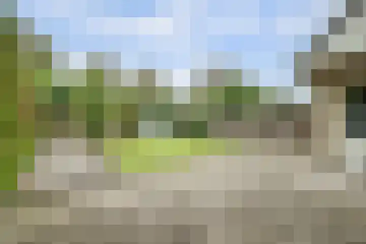 De Driesprong 3 Dronten thumbnail 31