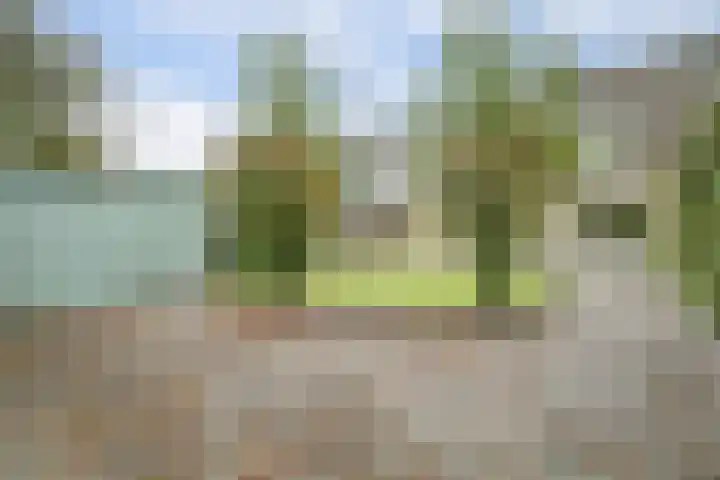 De Driesprong 3 Dronten thumbnail 32