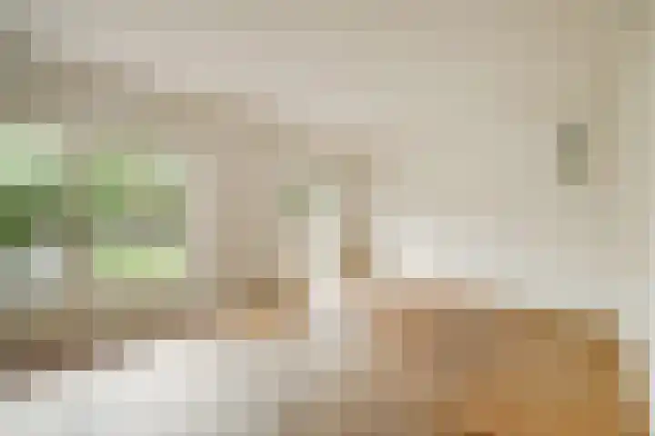 De Driesprong 3 Dronten thumbnail 4