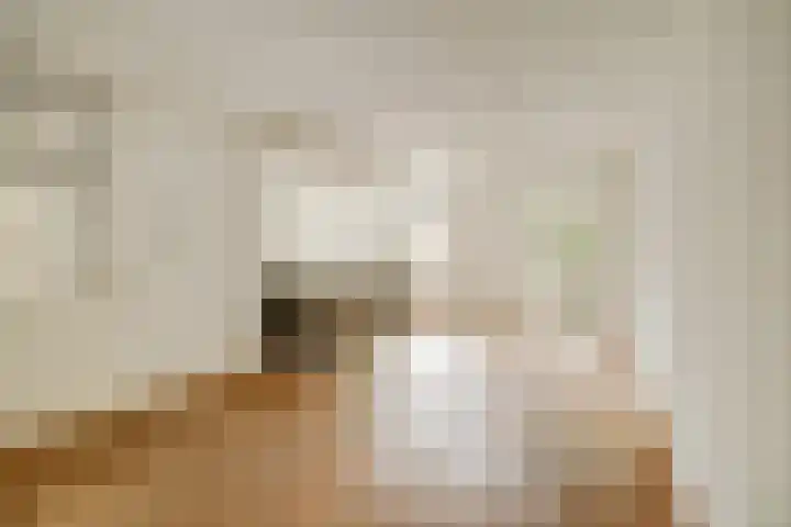De Driesprong 3 Dronten thumbnail 7