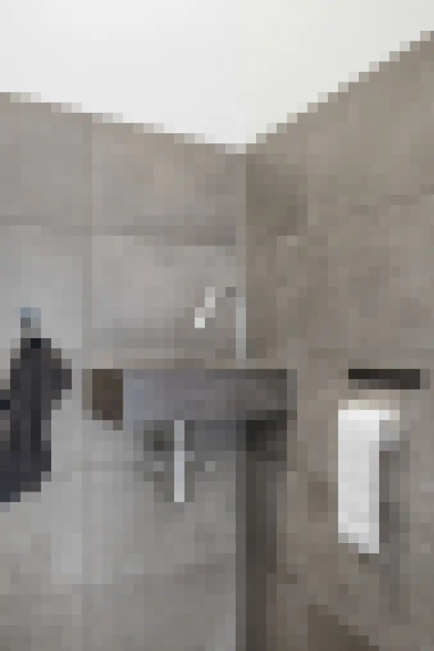 De Driessen 1 Beek en Donk thumbnail 10
