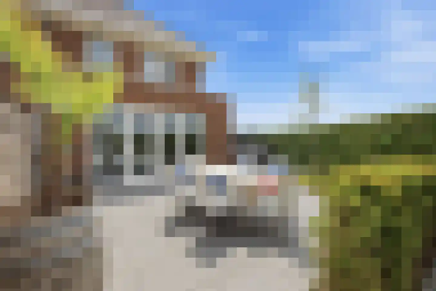De Driessen 1 Beek en Donk foto 2