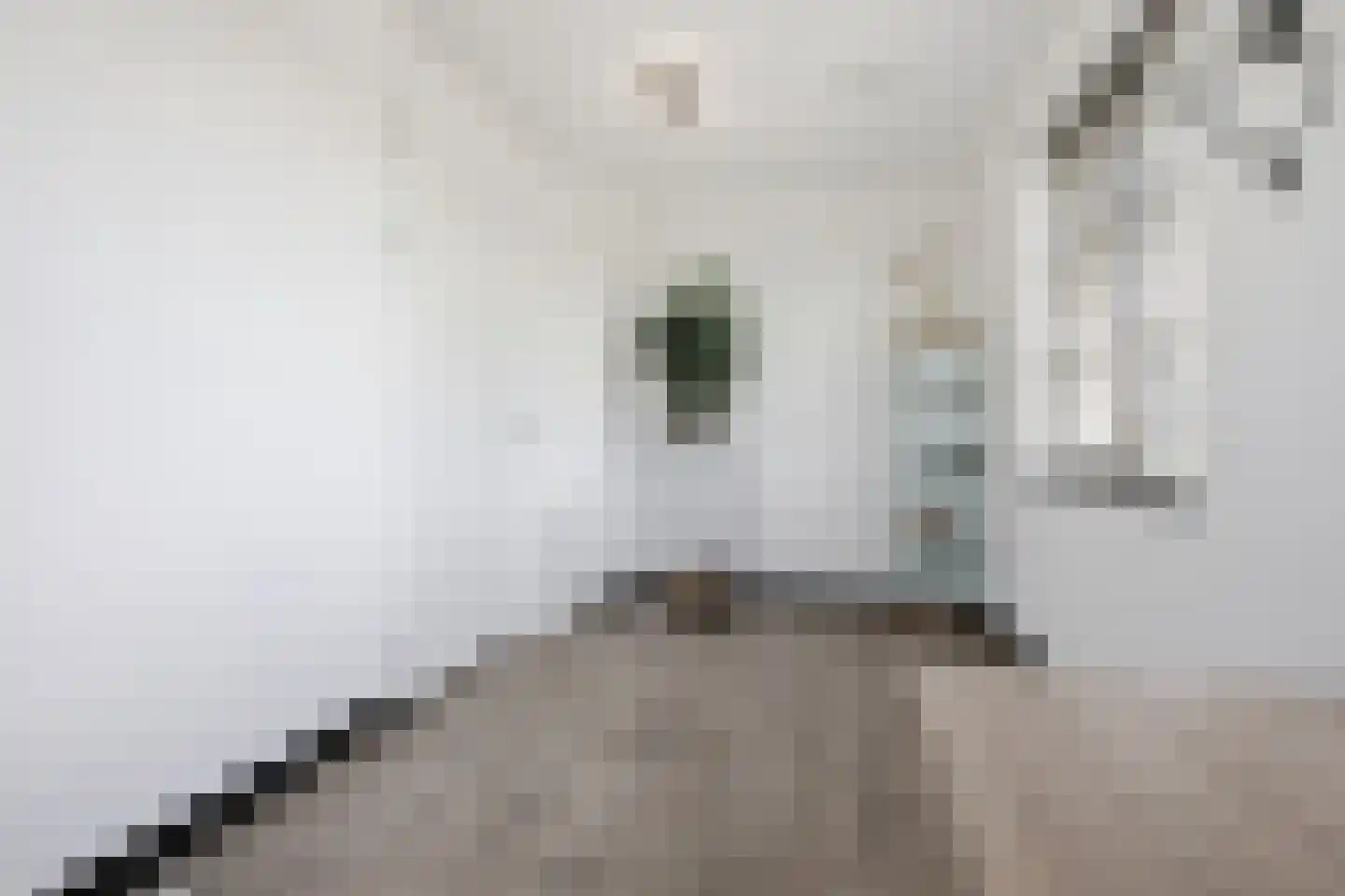 De Driessen 1 Beek en Donk thumbnail 27
