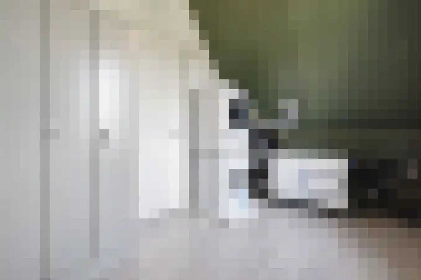 De Driessen 1 Beek en Donk thumbnail 40