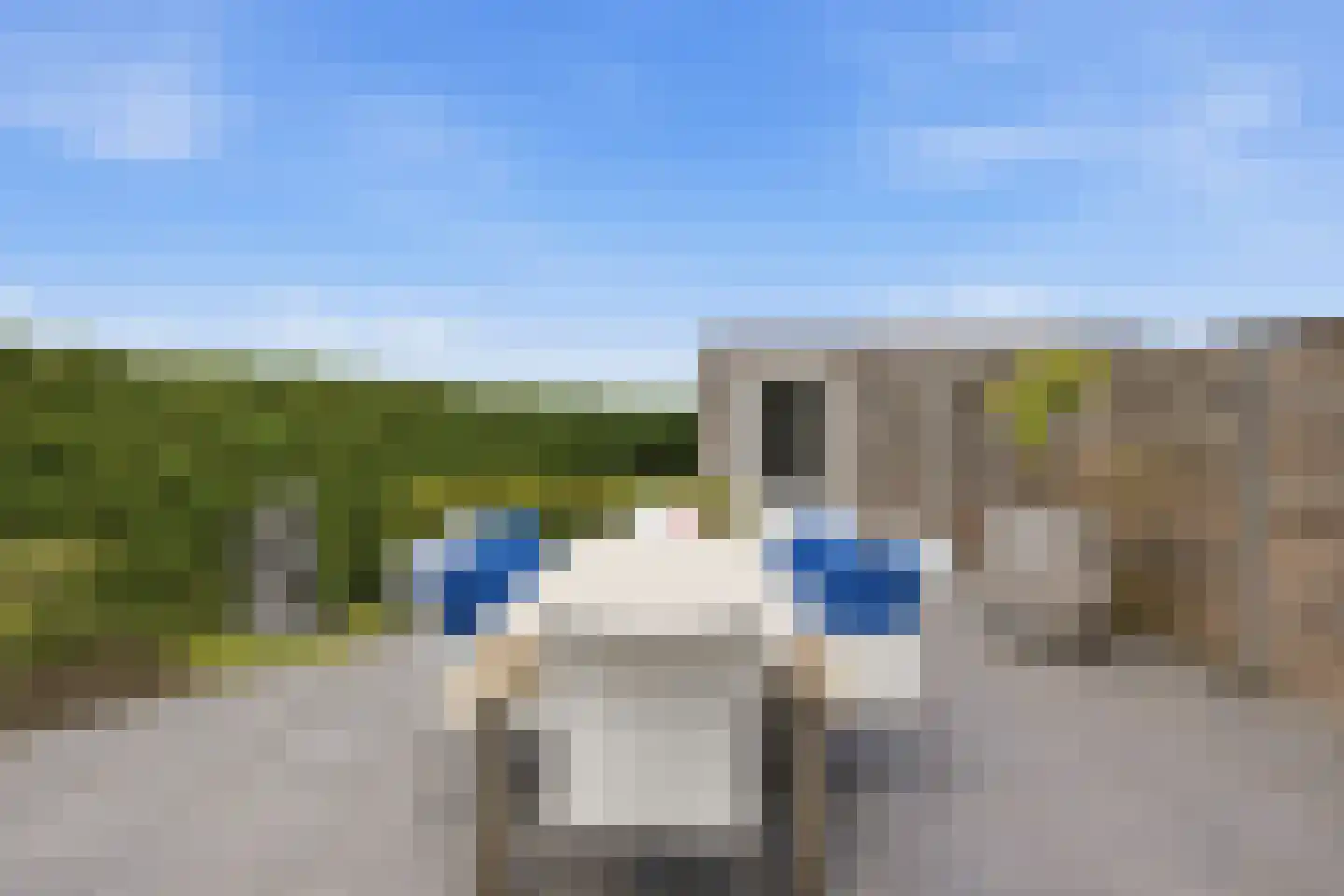 De Driessen 1 Beek en Donk thumbnail 47