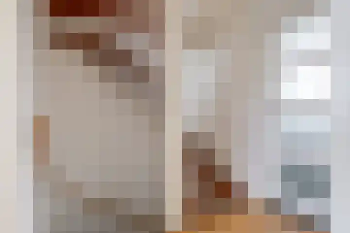 De Driestal 14 Heiloo thumbnail 13