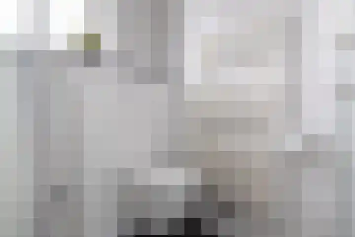 De Driestal 14 Heiloo thumbnail 22