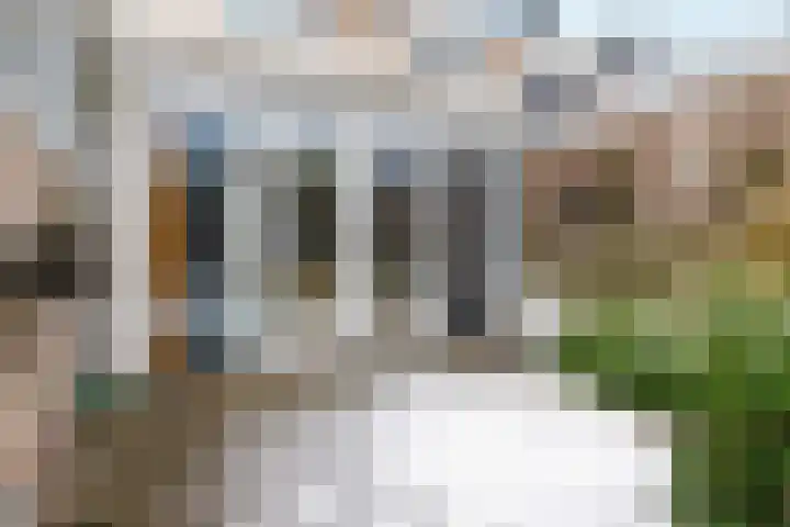 De Driestal 14 Heiloo thumbnail 29