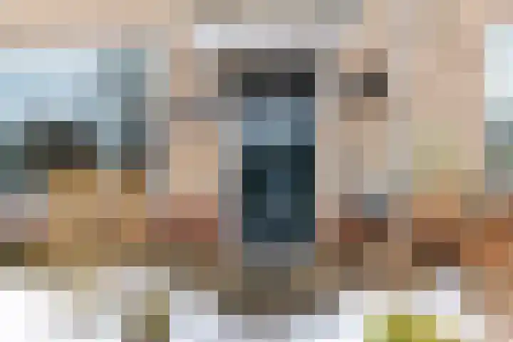 De Driestal 14 Heiloo thumbnail 32