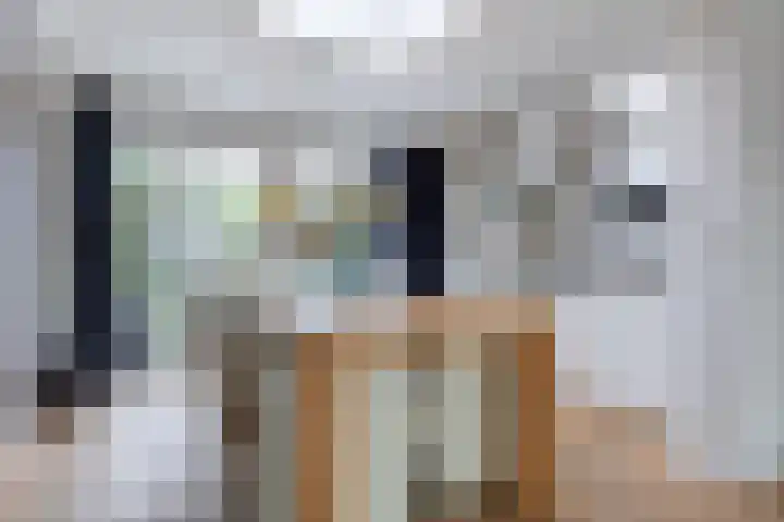 De Driestal 14 Heiloo thumbnail 6