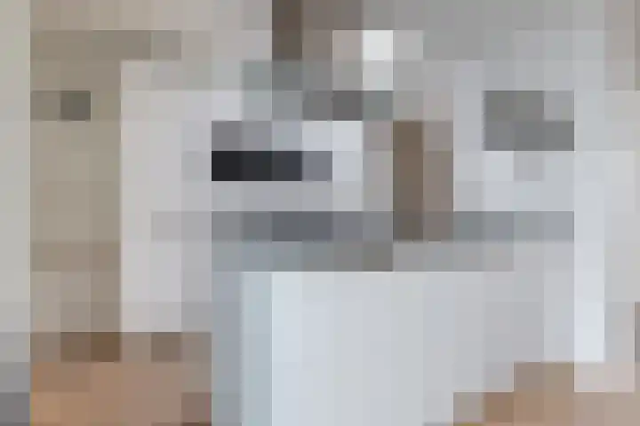 De Driestal 14 Heiloo thumbnail 8