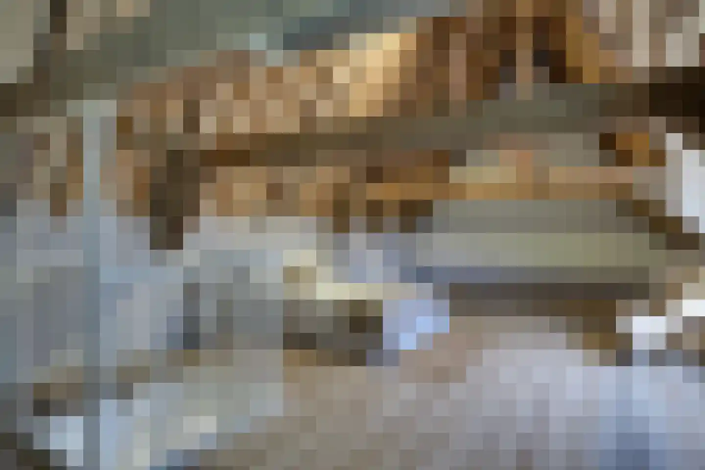 De Driestal 19 Hoorn thumbnail 13