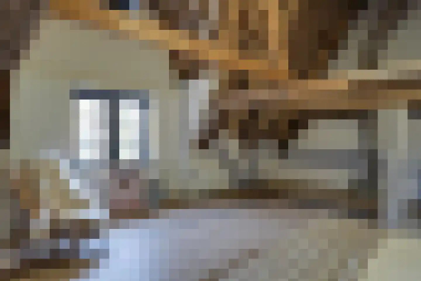 De Driestal 19 Hoorn thumbnail 17