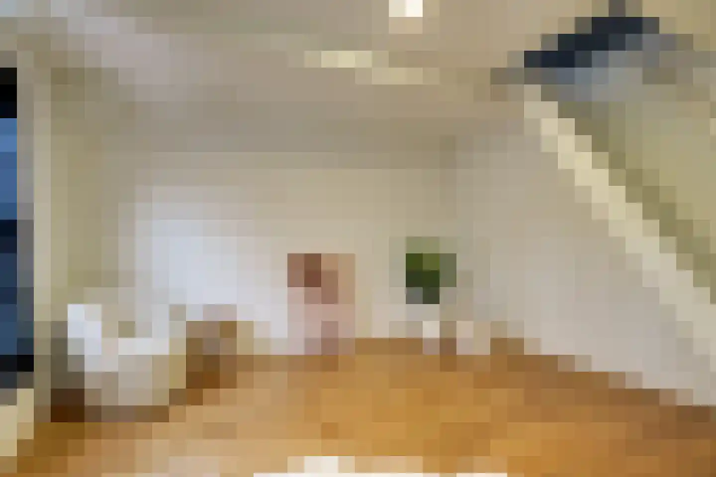 De Driestal 19 Hoorn thumbnail 5