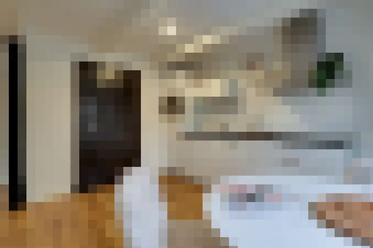 De Driestal 19 Hoorn thumbnail 8