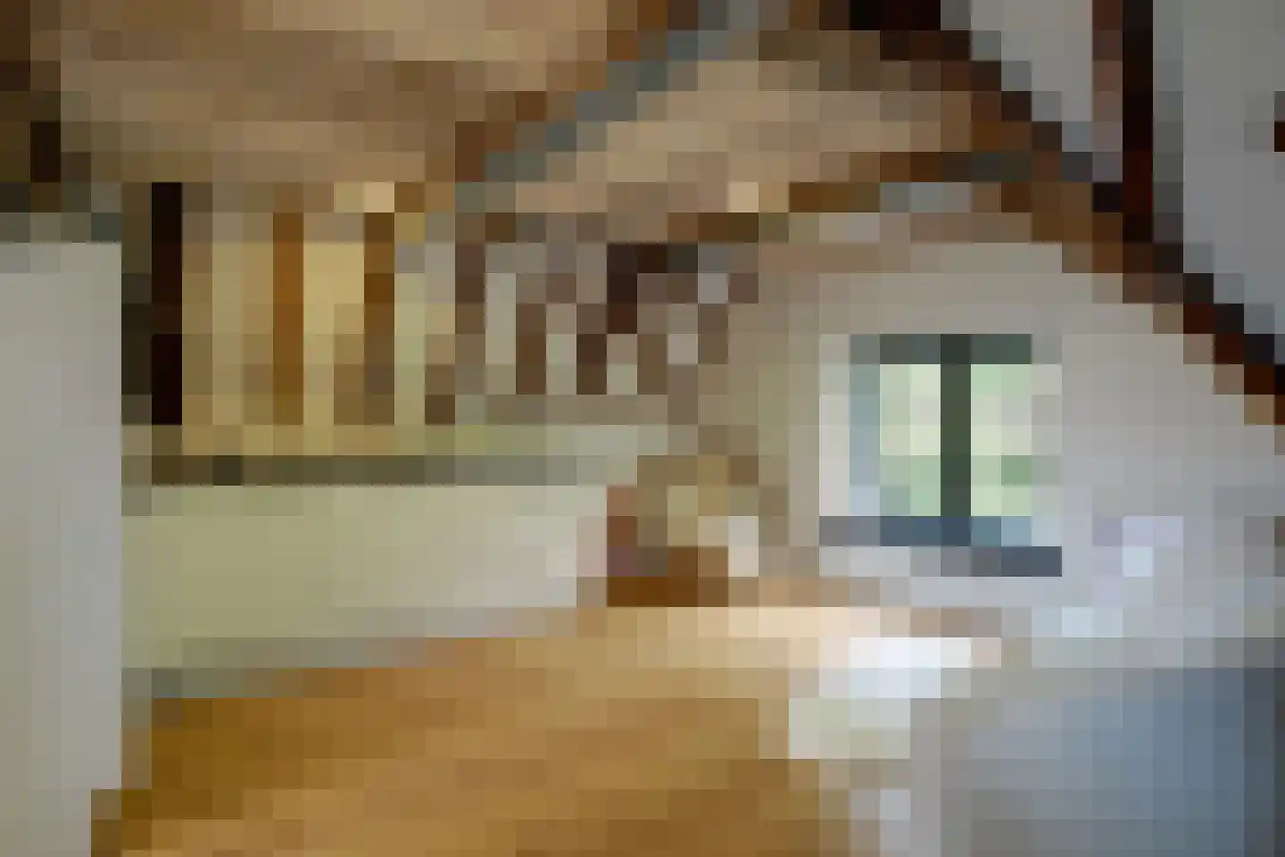 De Driestal 20 Hoorn thumbnail 10