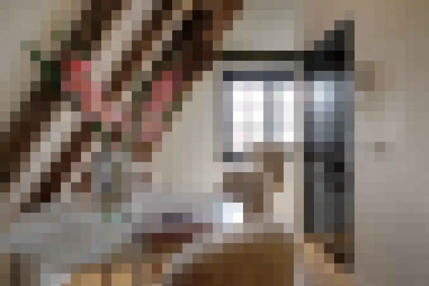 De Driestal 20 Hoorn thumbnail 16