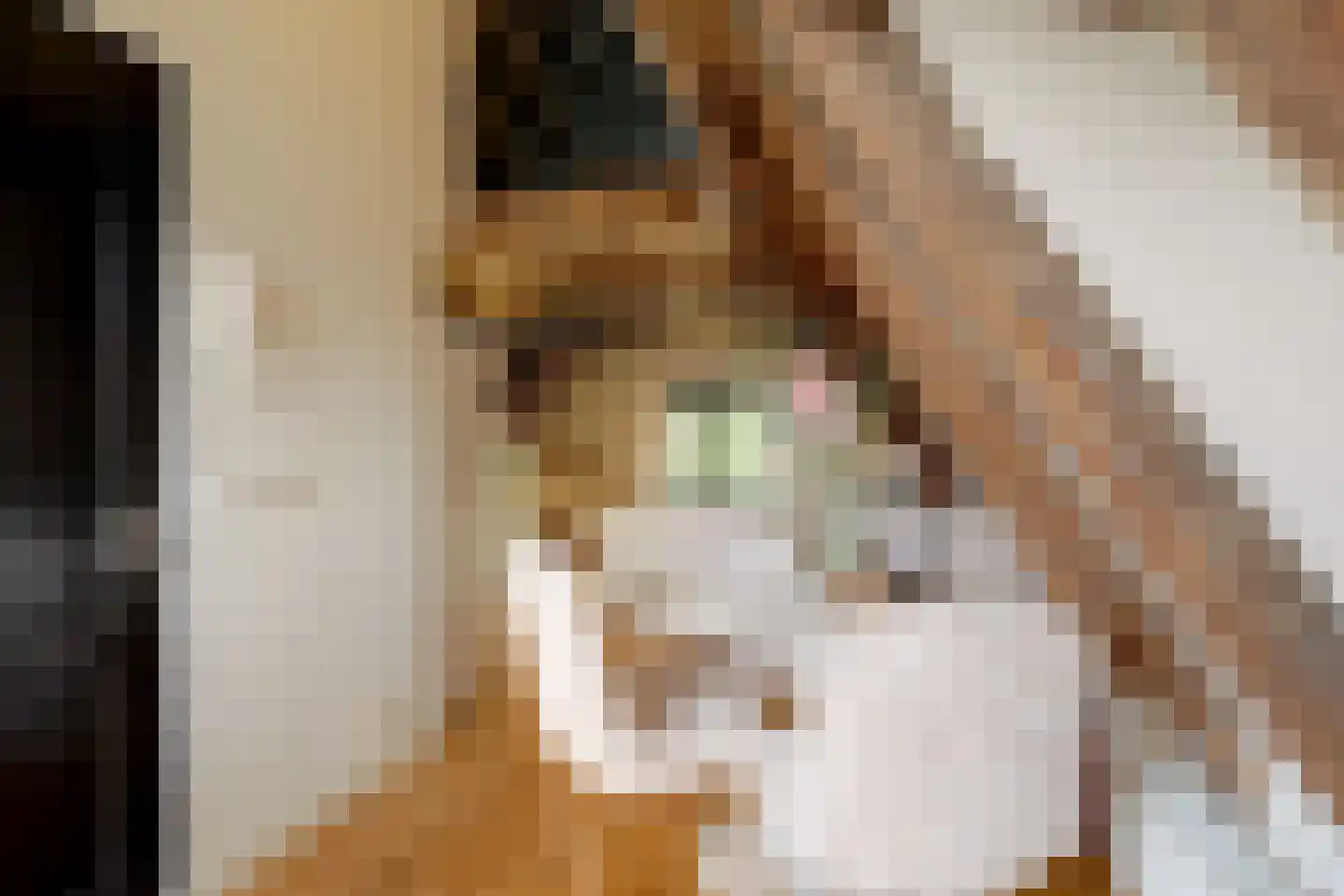 De Driestal 20 Hoorn thumbnail 17