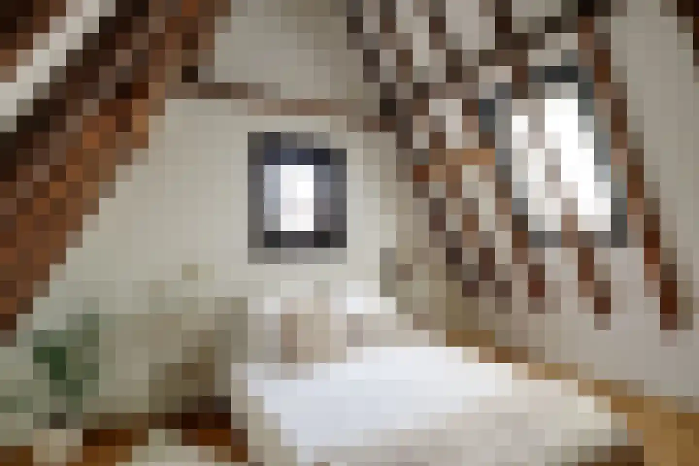 De Driestal 20 Hoorn thumbnail 22