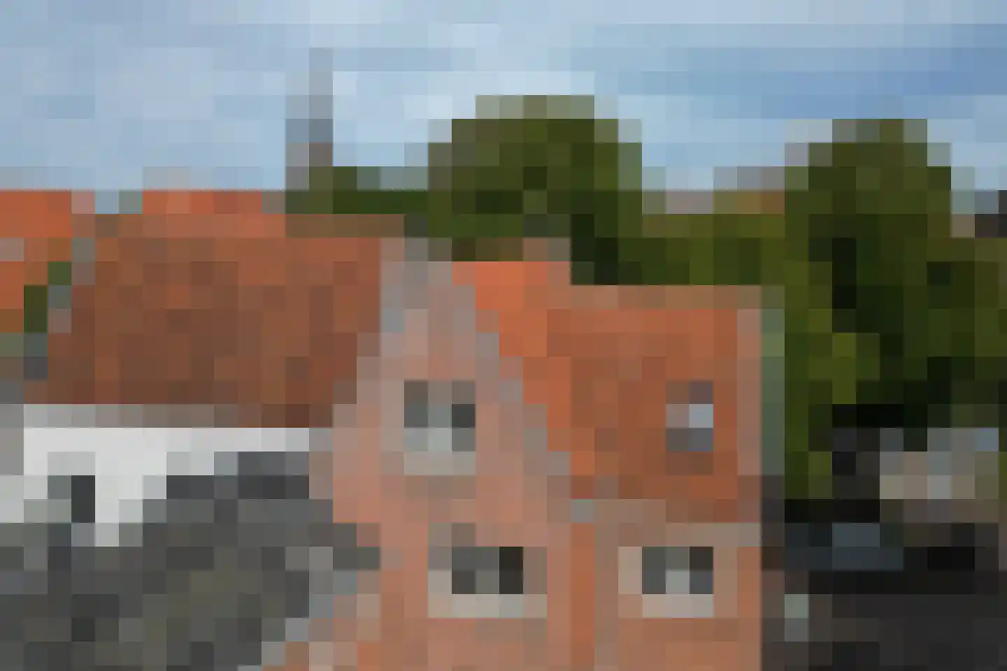 De Driestal 20 Hoorn thumbnail 26