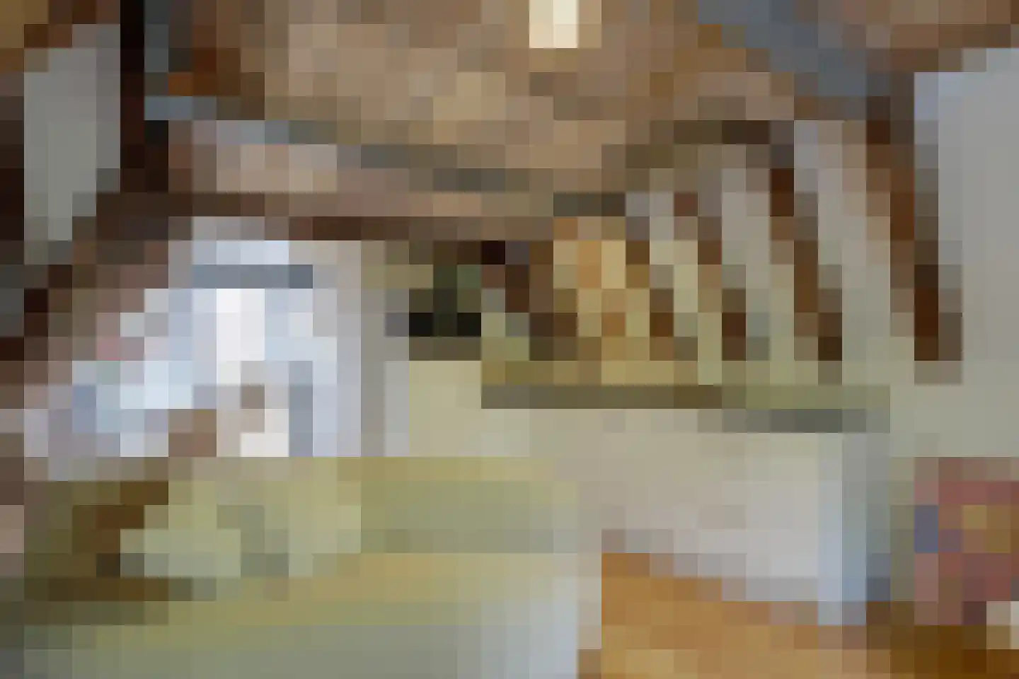 De Driestal 20 Hoorn thumbnail 8