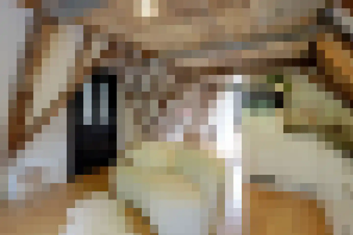De Driestal 20 Hoorn thumbnail 9