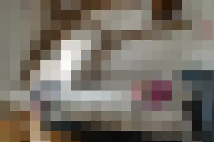 De Driestal 21 Hoorn thumbnail 11