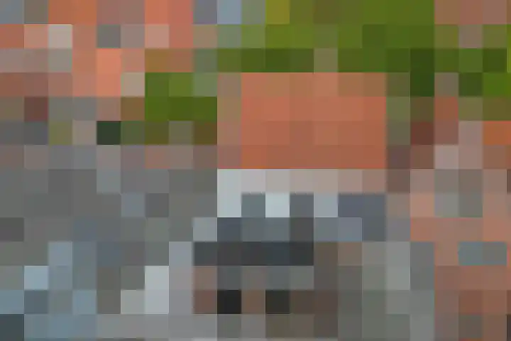 De Driestal 21 Hoorn thumbnail 16
