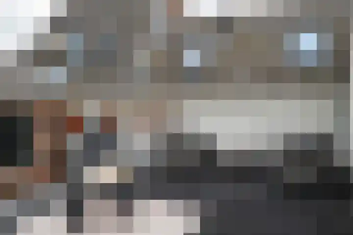 De Driestal 21 Hoorn thumbnail 17
