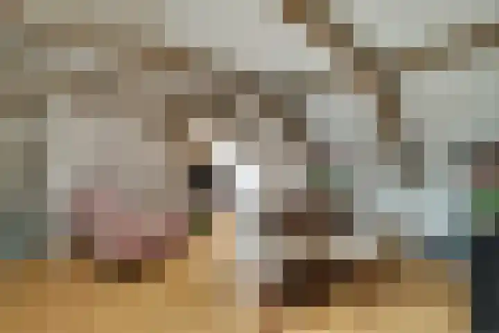 De Driestal 21 Hoorn thumbnail 5