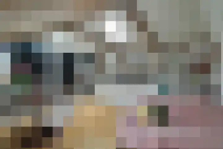 De Driestal 21 Hoorn thumbnail 8