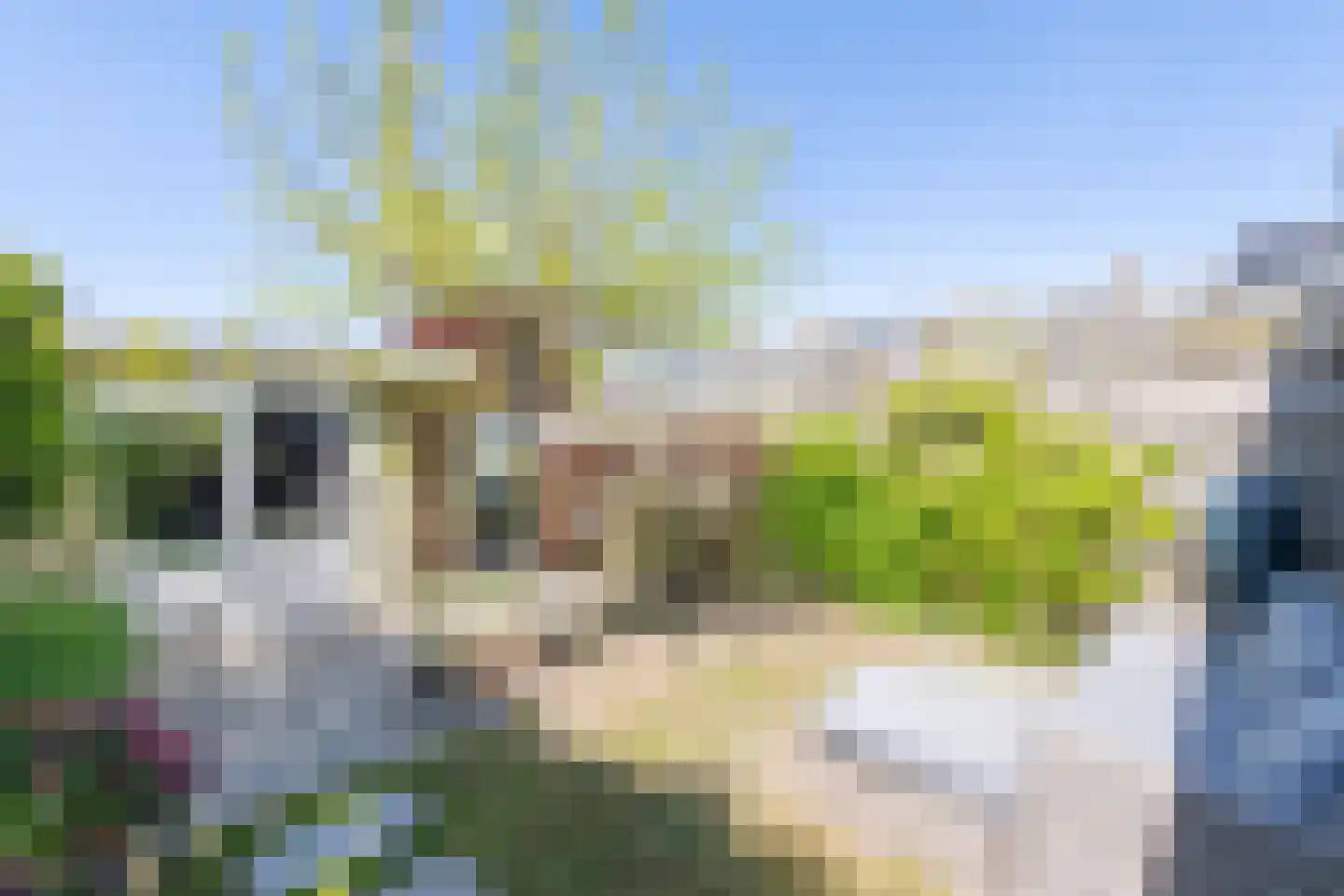 De Driestal 3 Heiloo thumbnail 43