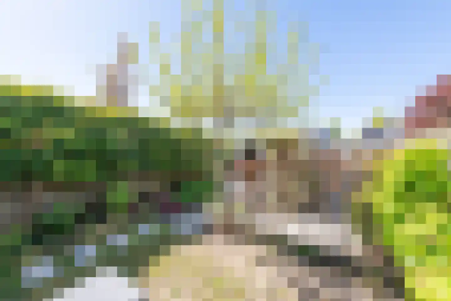 De Driestal 3 Heiloo thumbnail 45