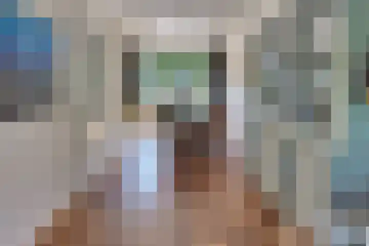 De Driesten 3 Ermelo thumbnail 10