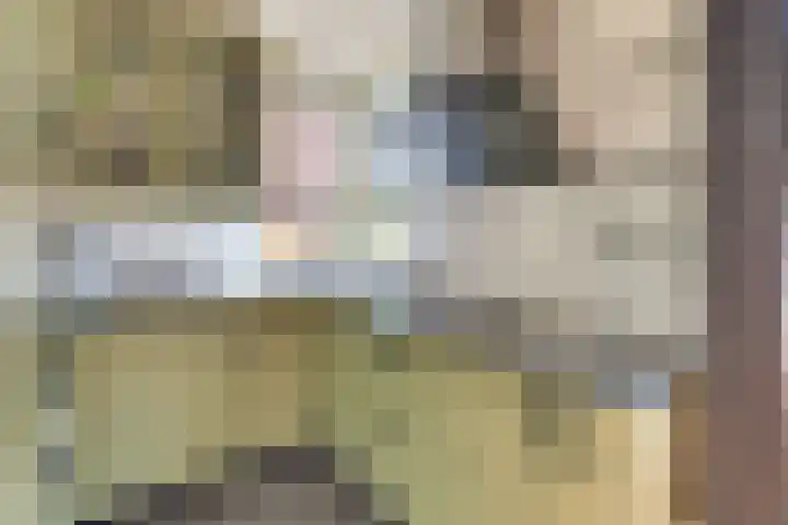 De Driesten 3 Ermelo thumbnail 12