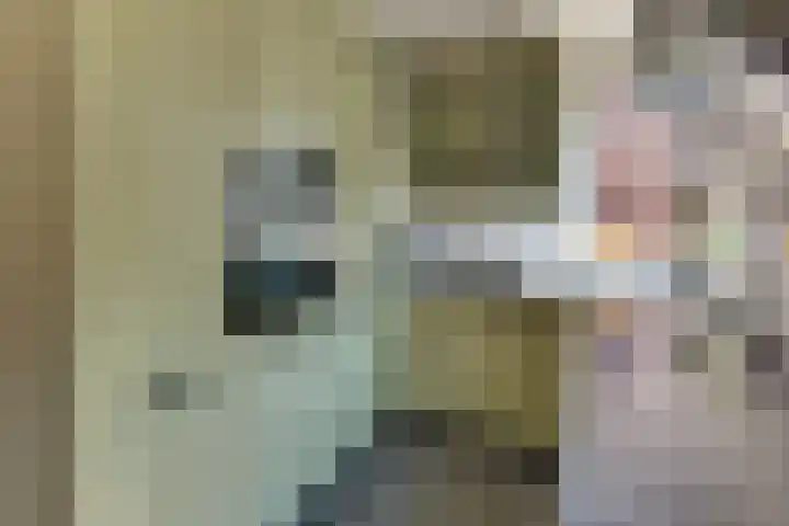 De Driesten 3 Ermelo thumbnail 13
