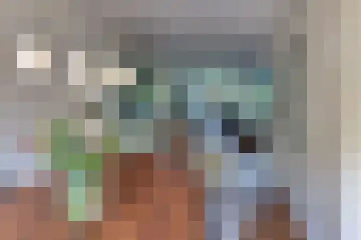 De Driesten 3 Ermelo thumbnail 18