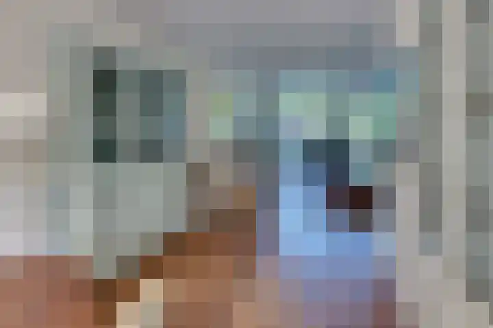 De Driesten 3 Ermelo thumbnail 19