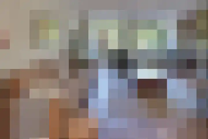 De Driesten 3 Ermelo thumbnail 22