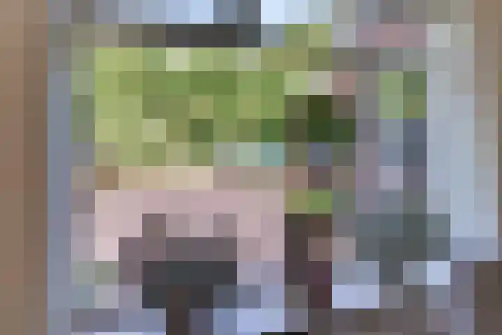 De Driesten 3 Ermelo thumbnail 23