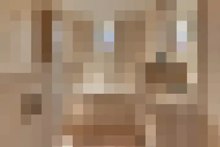 De Driesten 3 Ermelo thumbnail 30